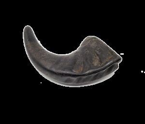 Open Range Water Buffalo Horn
