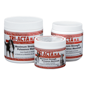 Tri-Acta H. A.